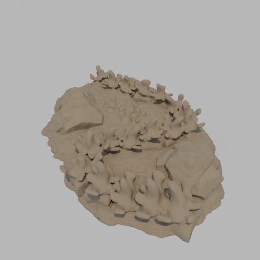 Dragon Bones - Tail (2 pieces)