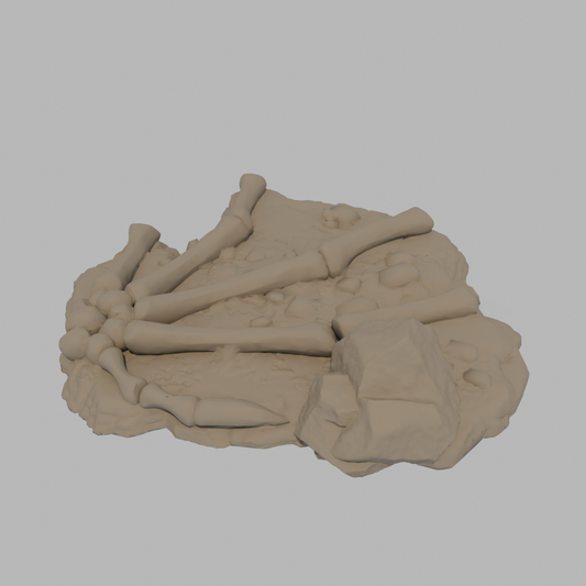 Dragon Bones - Wing C