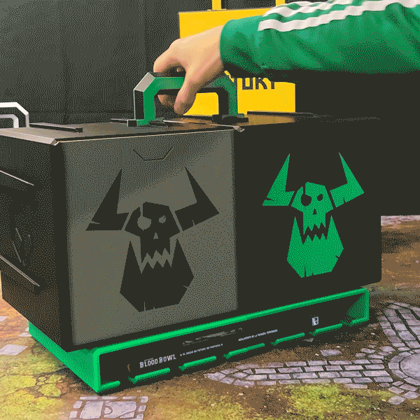 CubeMod Carrier Case