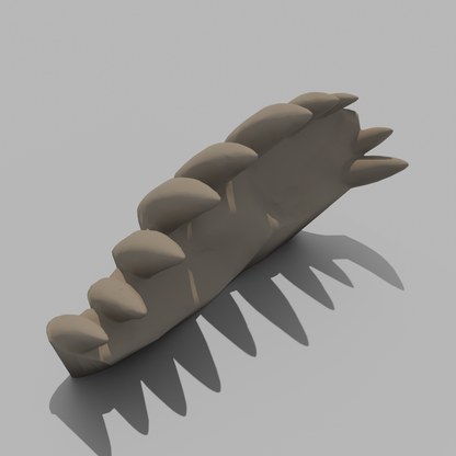 Dragon Bones - Skull
