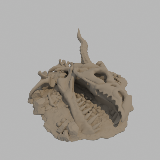 Dragon Bones - Skull