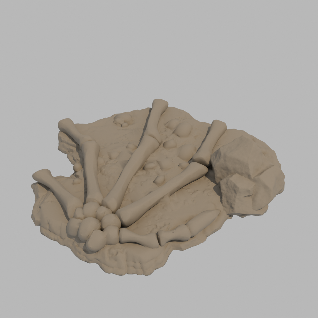 Dragon Bones - Wing C