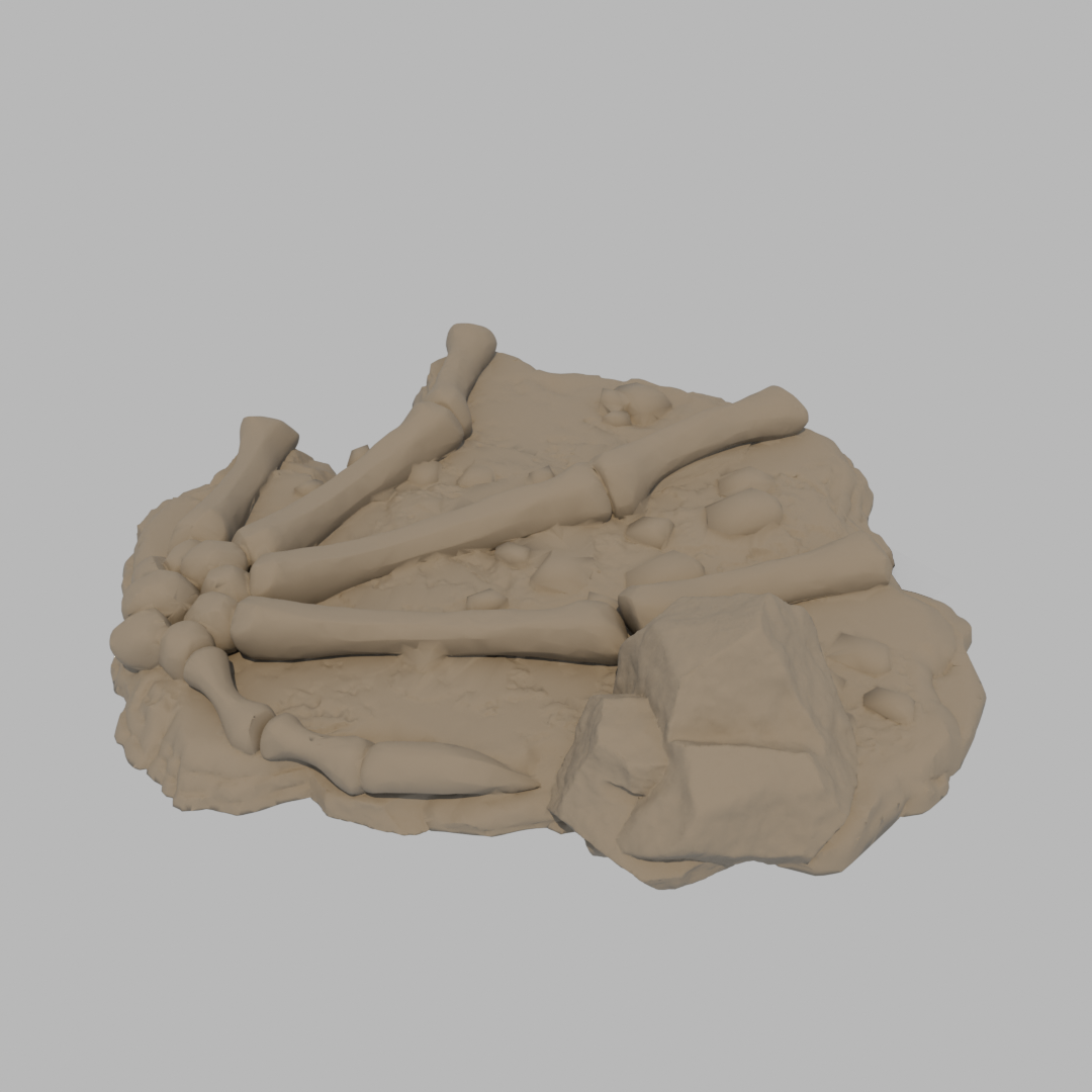 Dragon Bones - Wing C