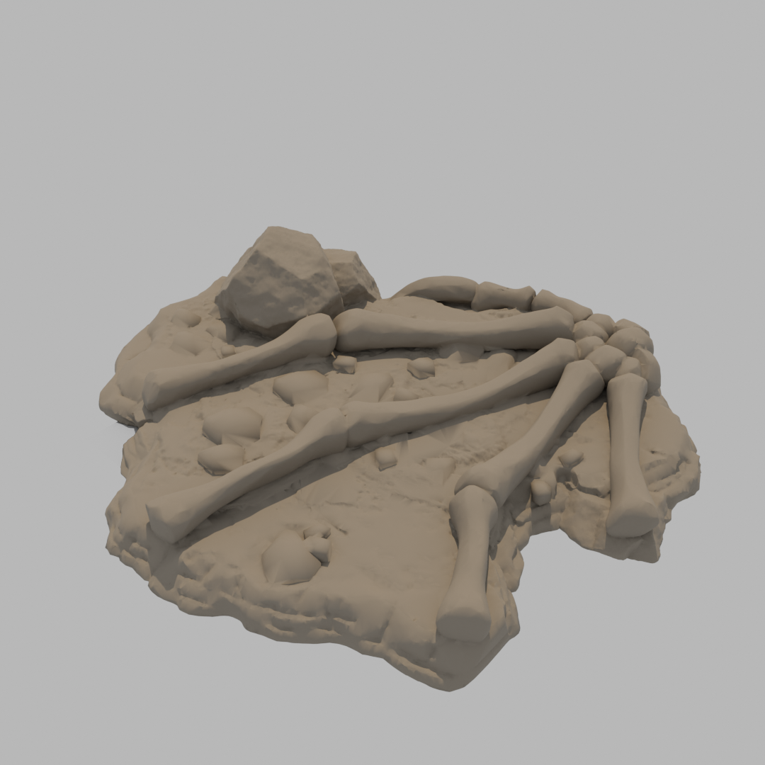Dragon Bones - Wing C