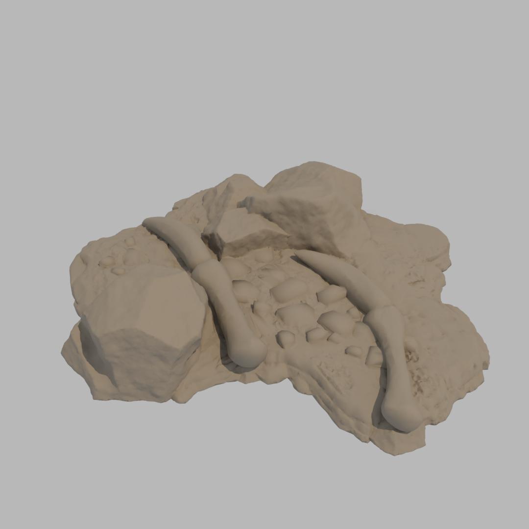 Dragon Bones - Wing D