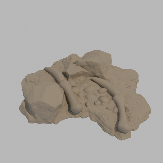 Dragon Bones - Wing D