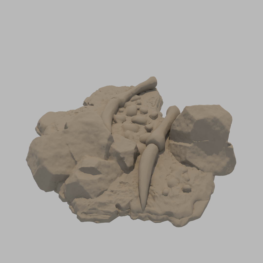 Dragon Bones - Wing D