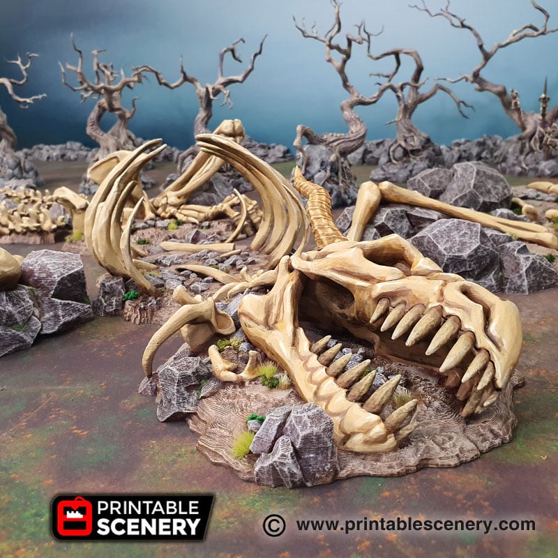 Dragon Bones - Skull