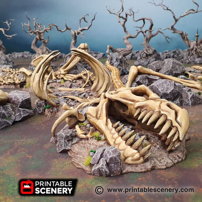 Dragon Bones - Skull