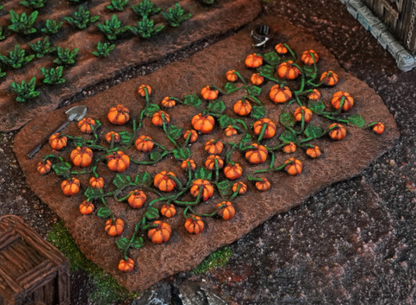 Crops - Kingdom of Saxonia - Pumpkin