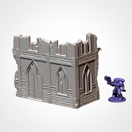 11th Edition Classic Ruins - Ruin Right 2