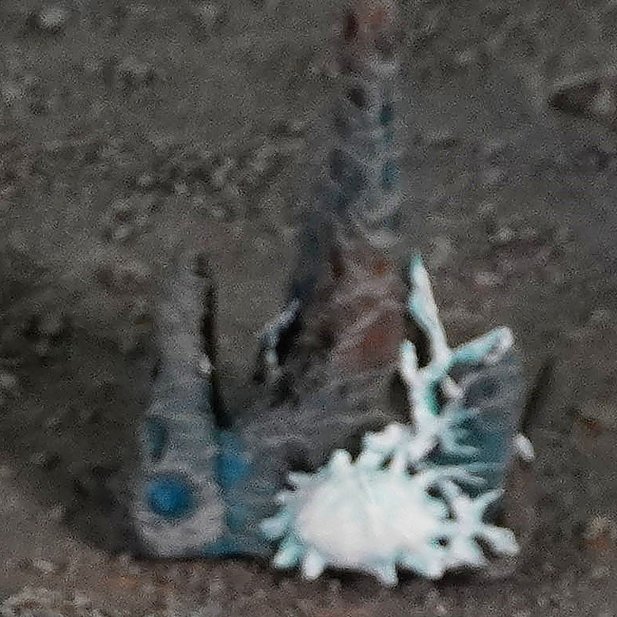Spider Caves - Full Set